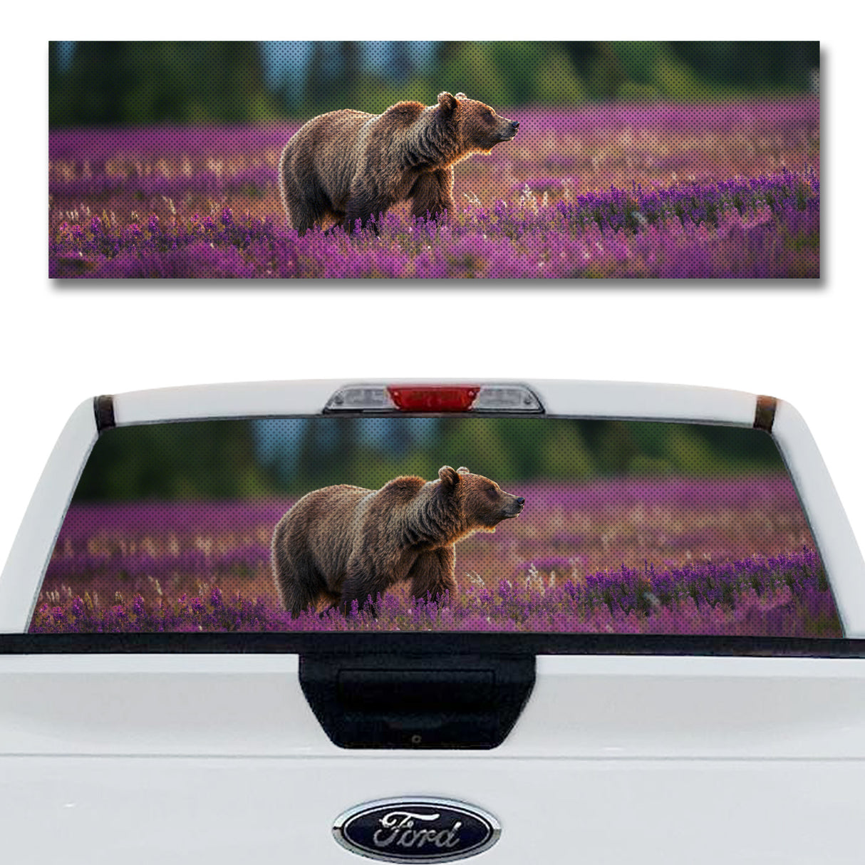 Lavender Bear