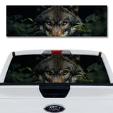Natural Predator