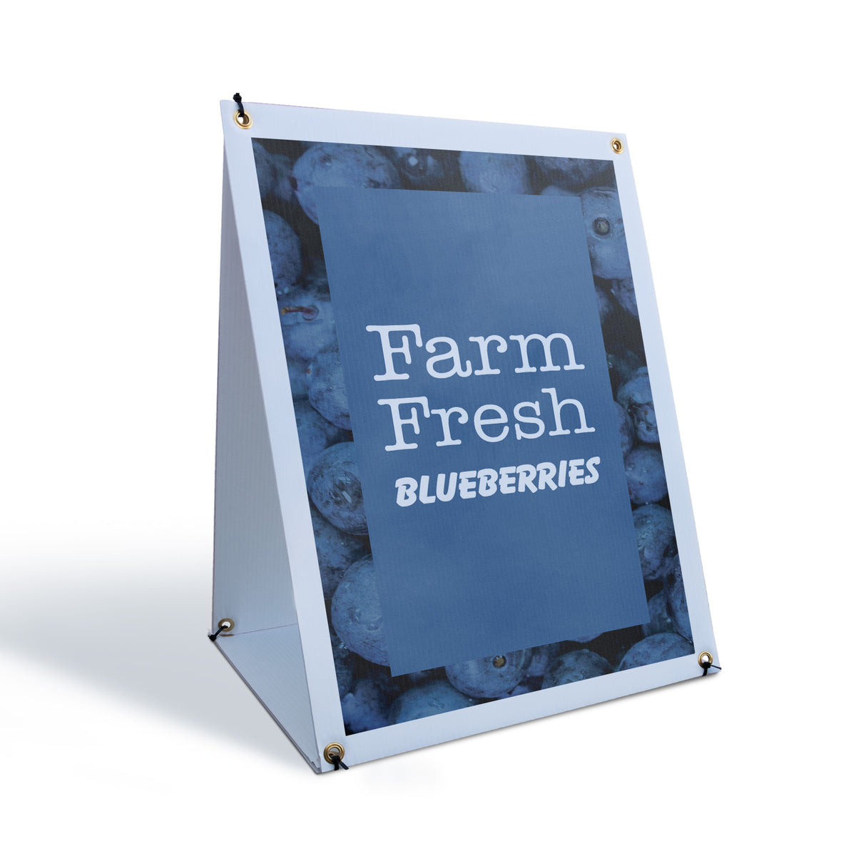 Farm Fresh Blueberries