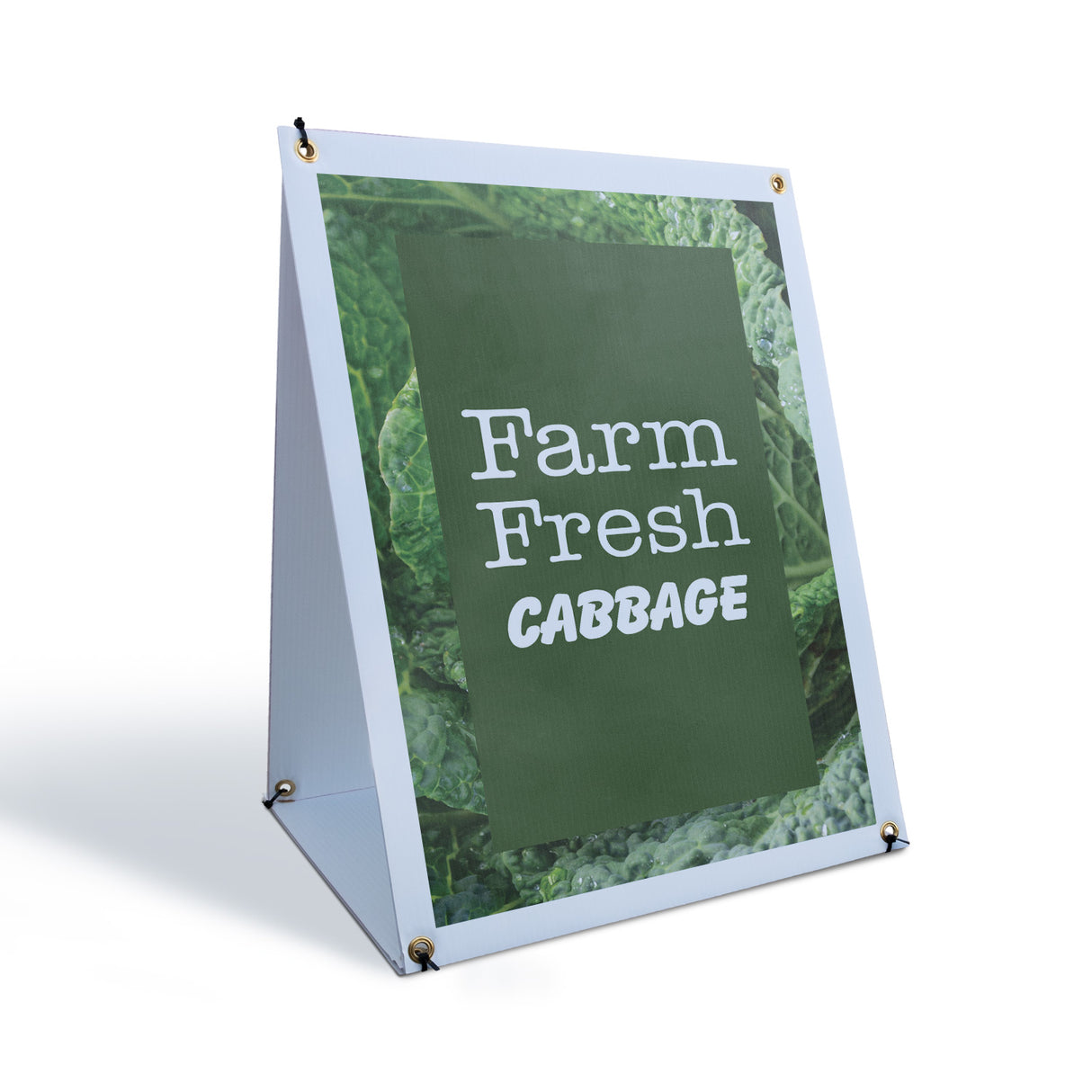 Farm Fresh Cabbage