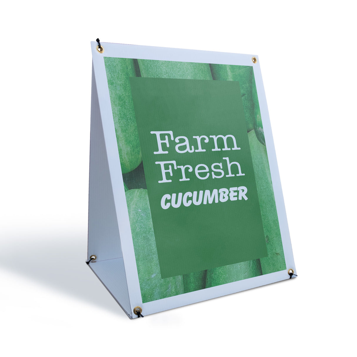 Farm Fresh Cucumber