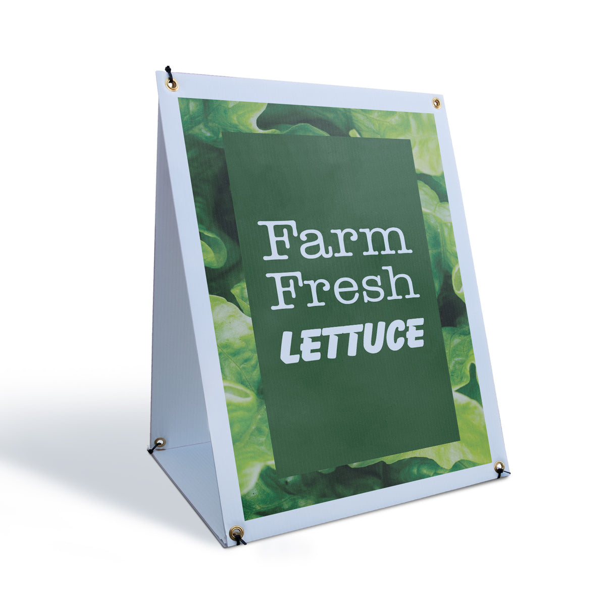 Farm Fresh Lettuce
