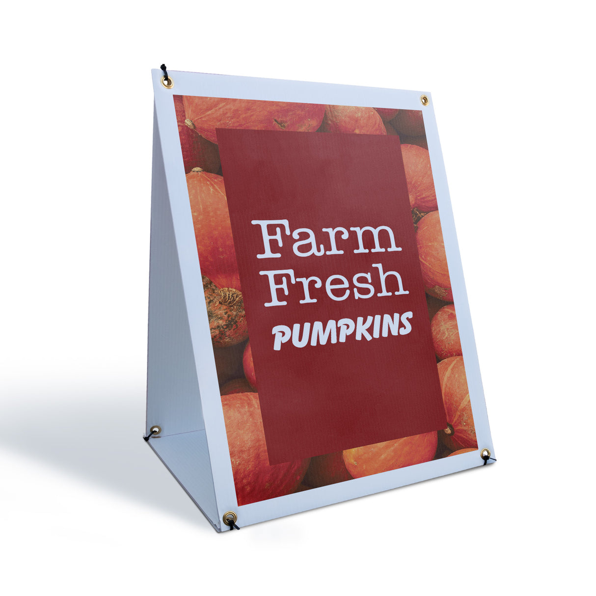 Farm Fresh Pumpkins