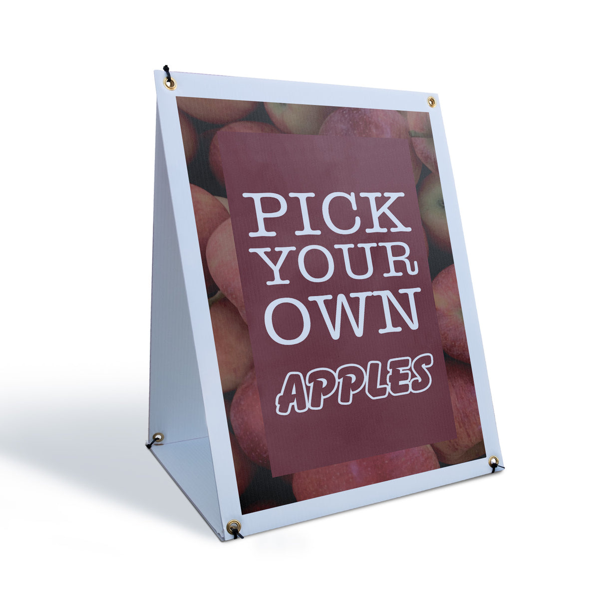 Pick Your Own Apples
