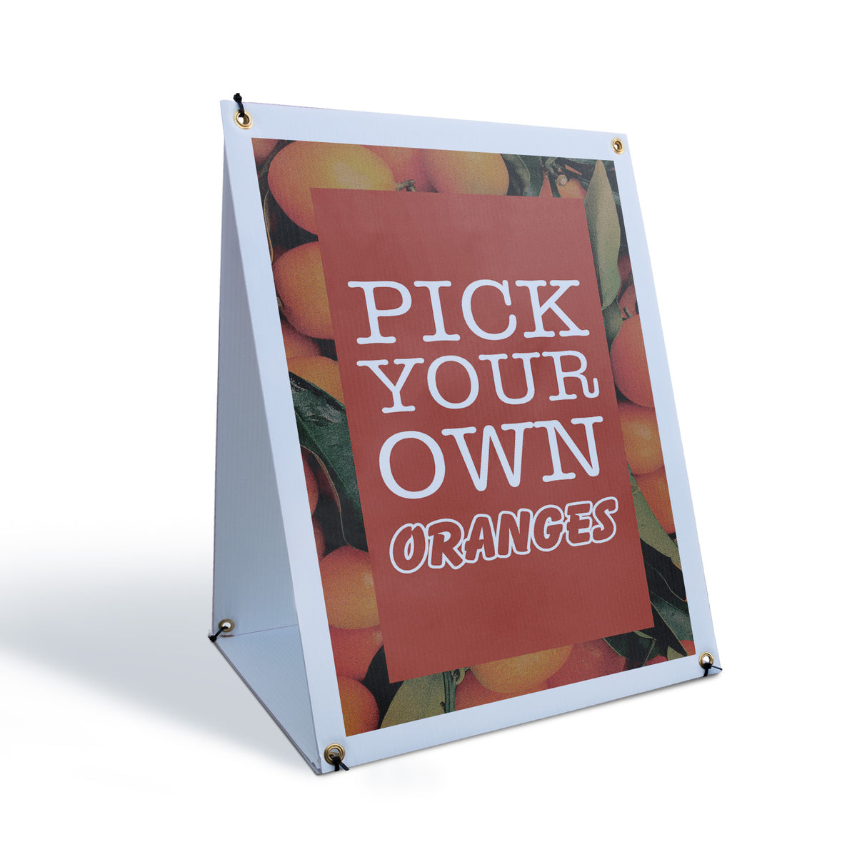 Pick Your Own Oranges