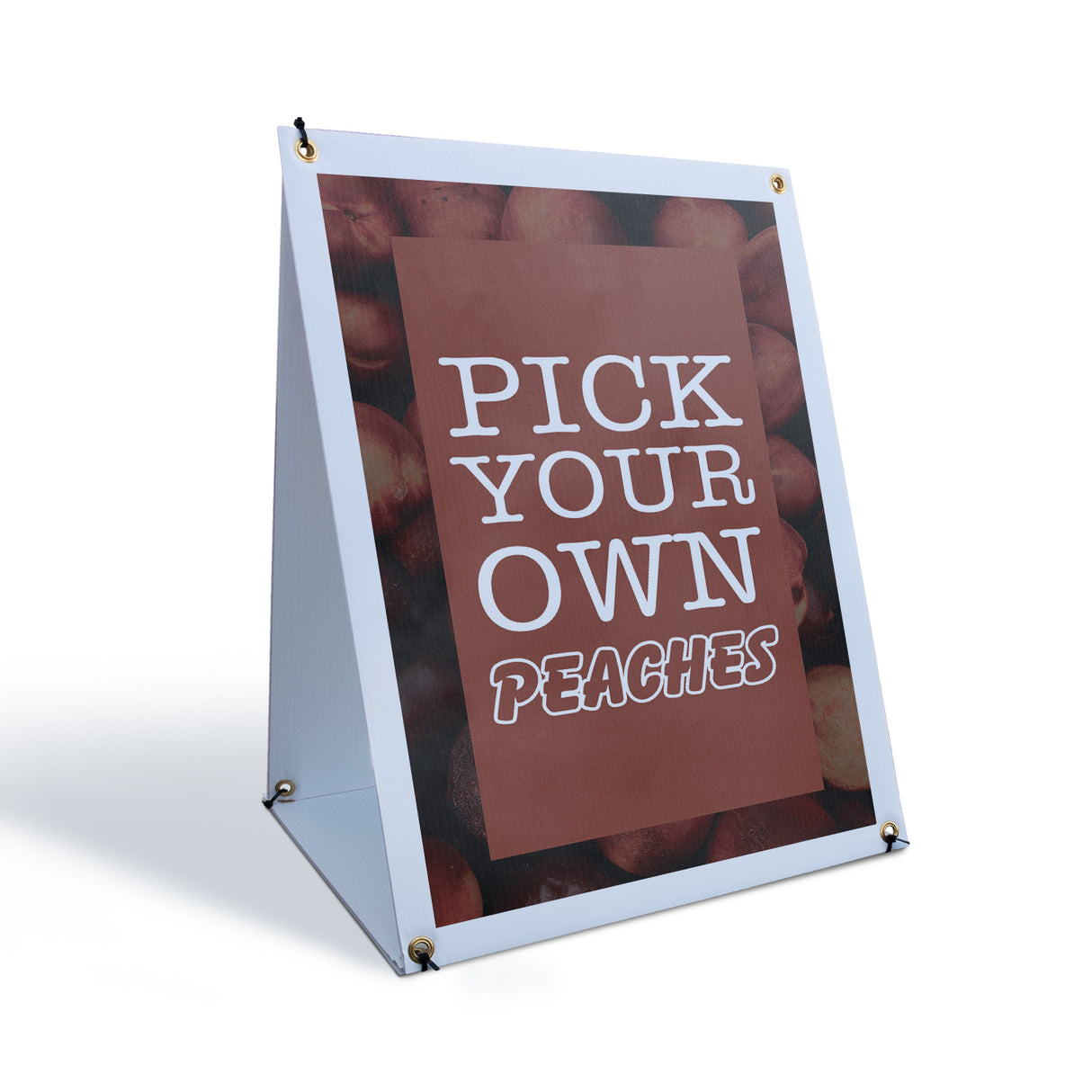 Pick Your Own Peaches