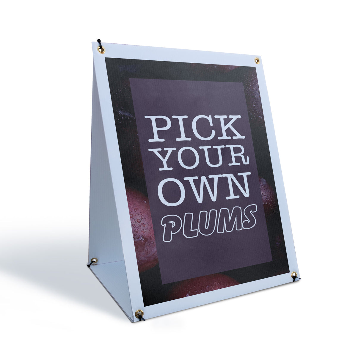 Pick Your Own Plums