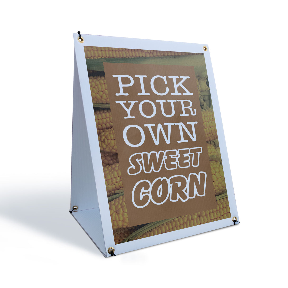 Pick Your Own Sweet Corn