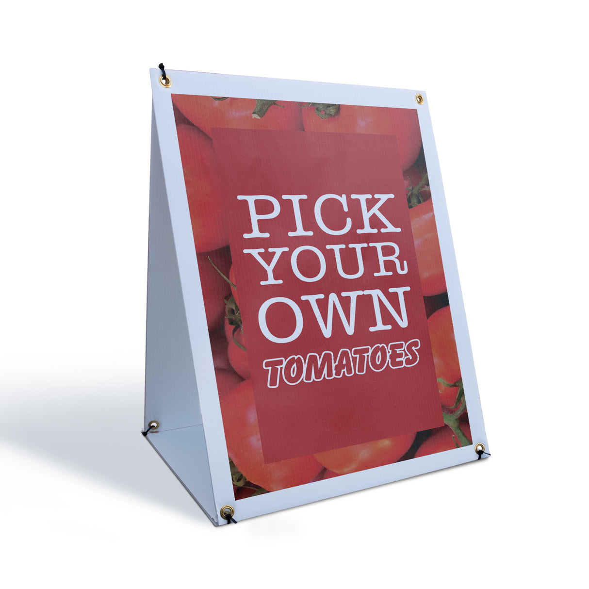 Pick Your Own Tomatoes