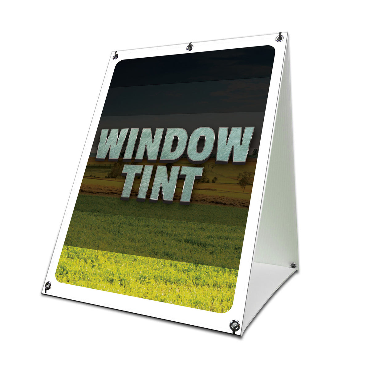 Window Tint