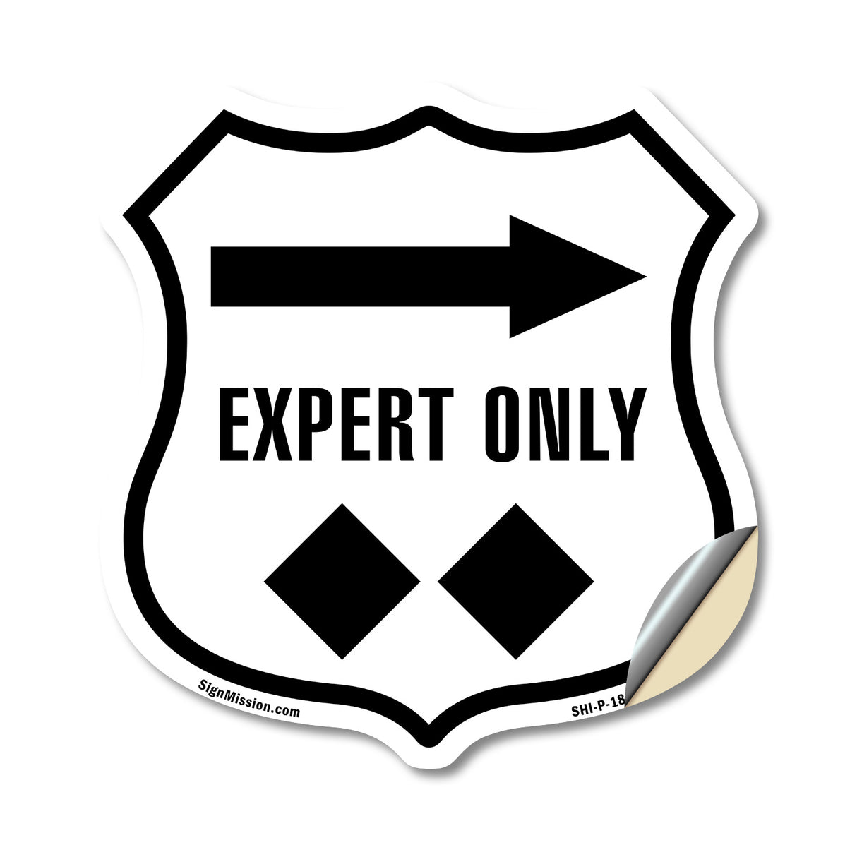 Expert Only Trail Ski Slope Right