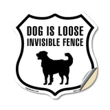 Dog Is Loose Invisible Fence