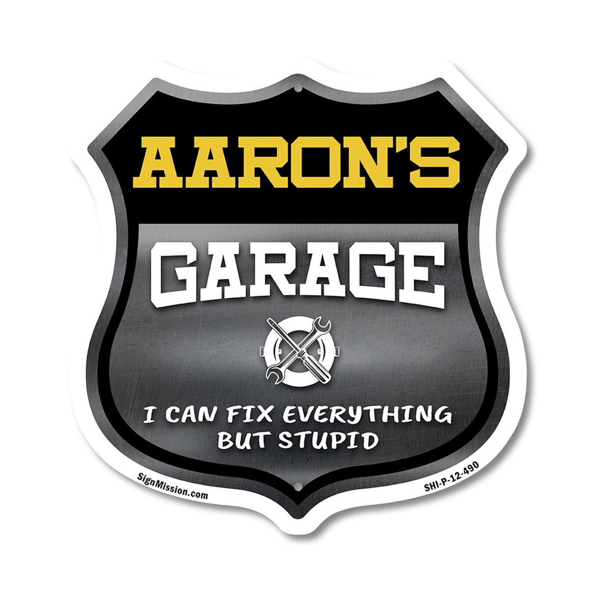 Aaron's Garage I Can Fix Everything But Stupid