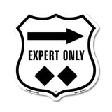 Expert Only Trail Ski Slope Right