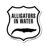 Alligators in water