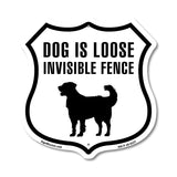 Dog Is Loose Invisible Fence