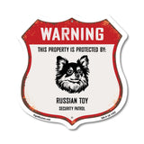 Warning This Property is Protected by Russian Toy