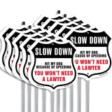 Slow Down Hit My Dog Because of Speeding