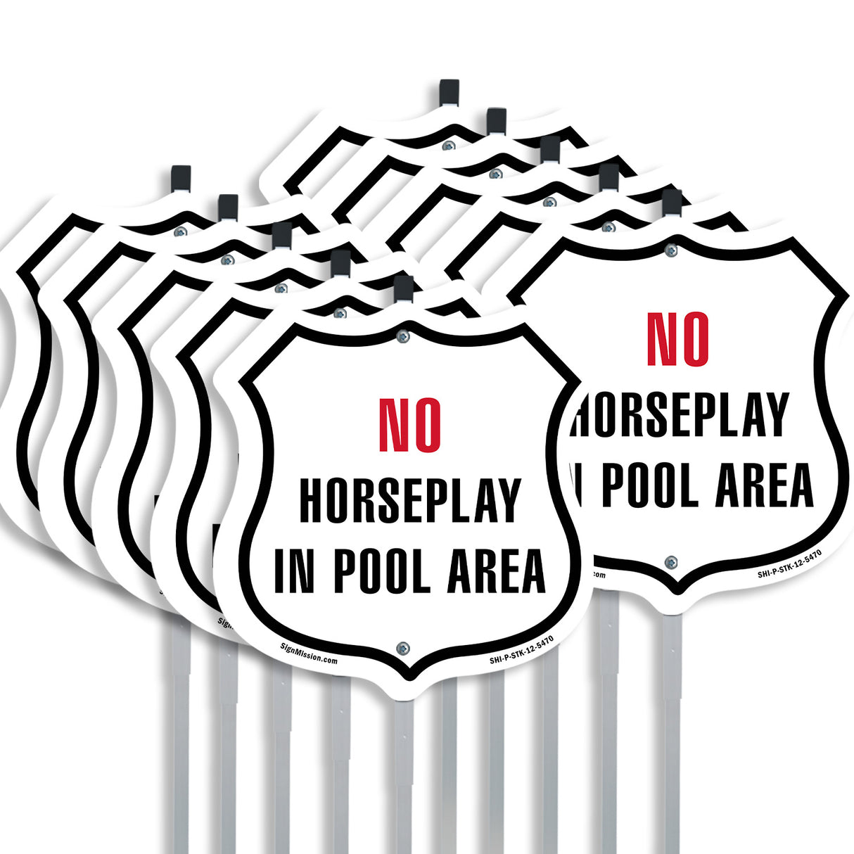 No Horseplay in the Pool Area