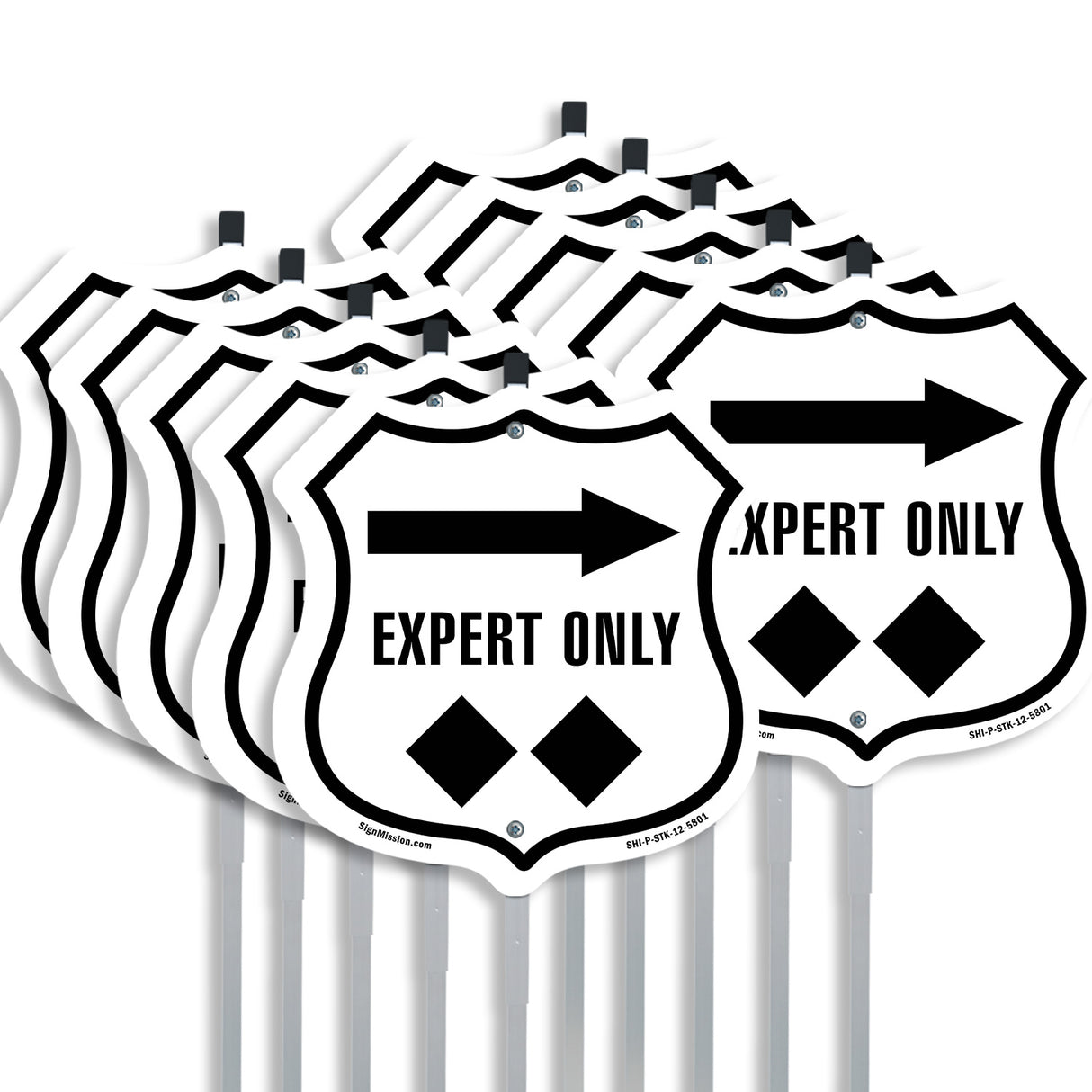 Expert Only Trail Ski Slope Right