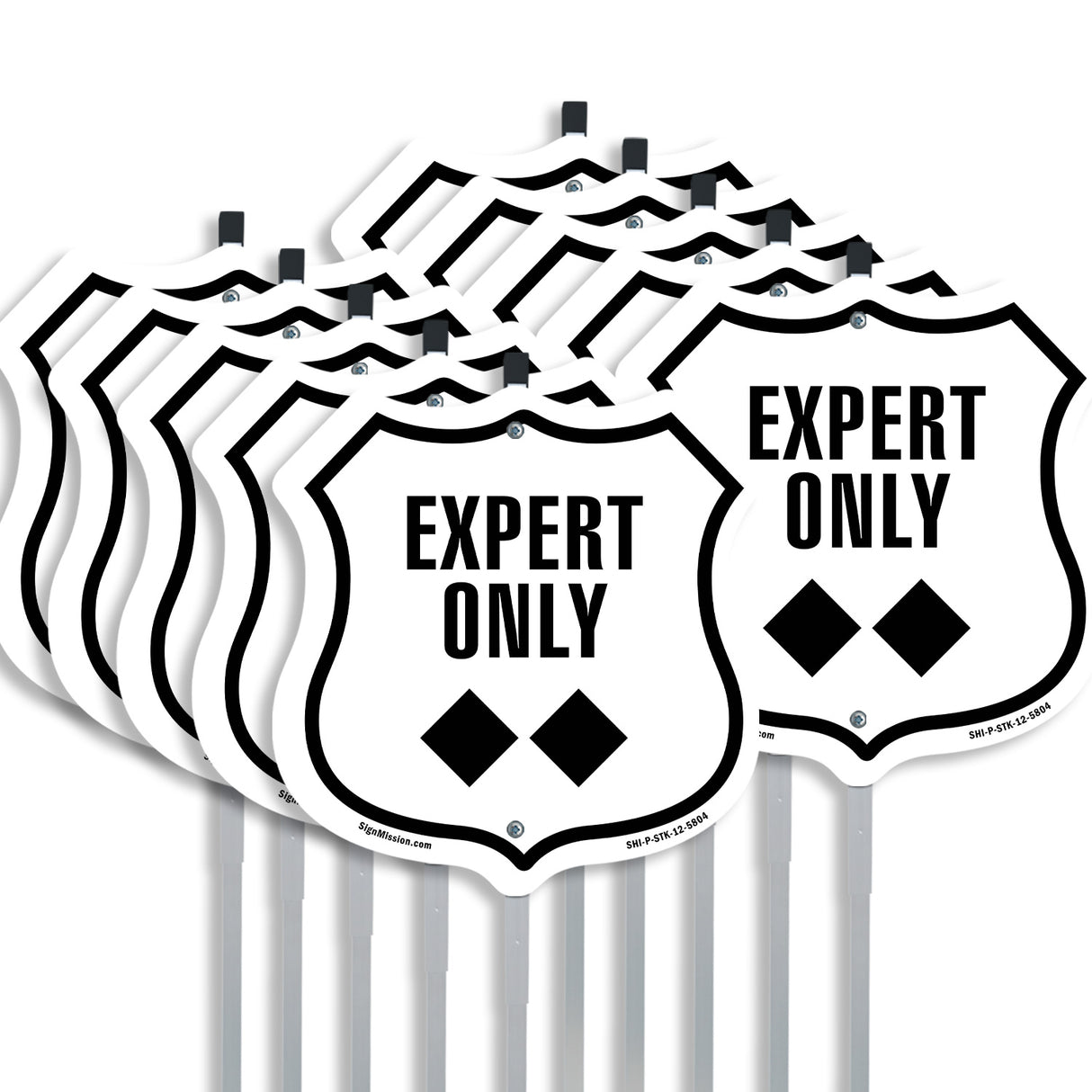 Expert Only Trail Ski Slope