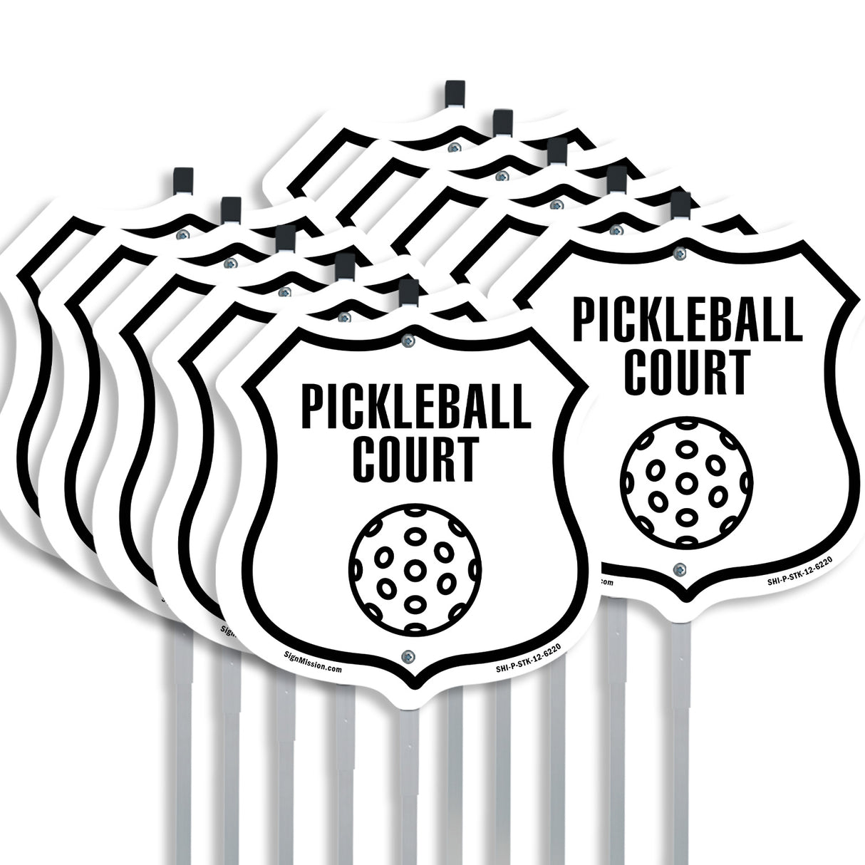 Pickleball Court