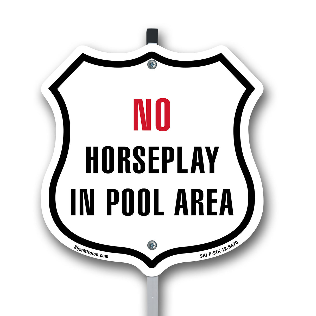 No Horseplay in the Pool Area