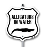 Alligators in water