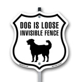 Dog Is Loose Invisible Fence