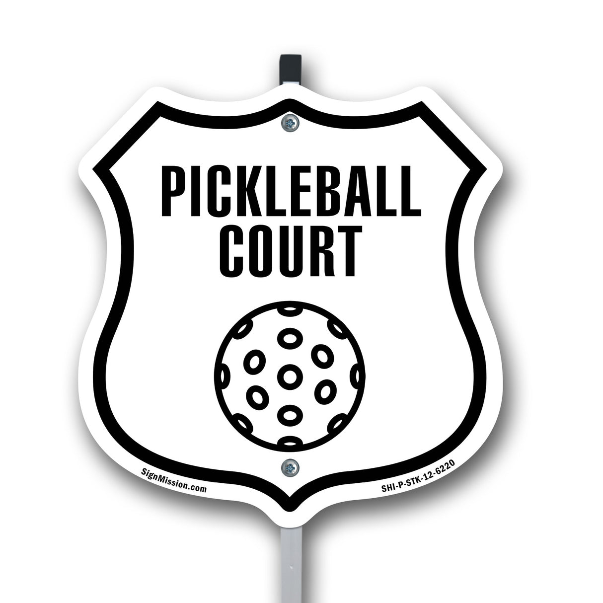 Pickleball Court