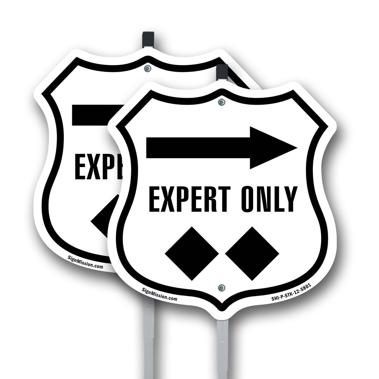 Expert Only Trail Ski Slope Right