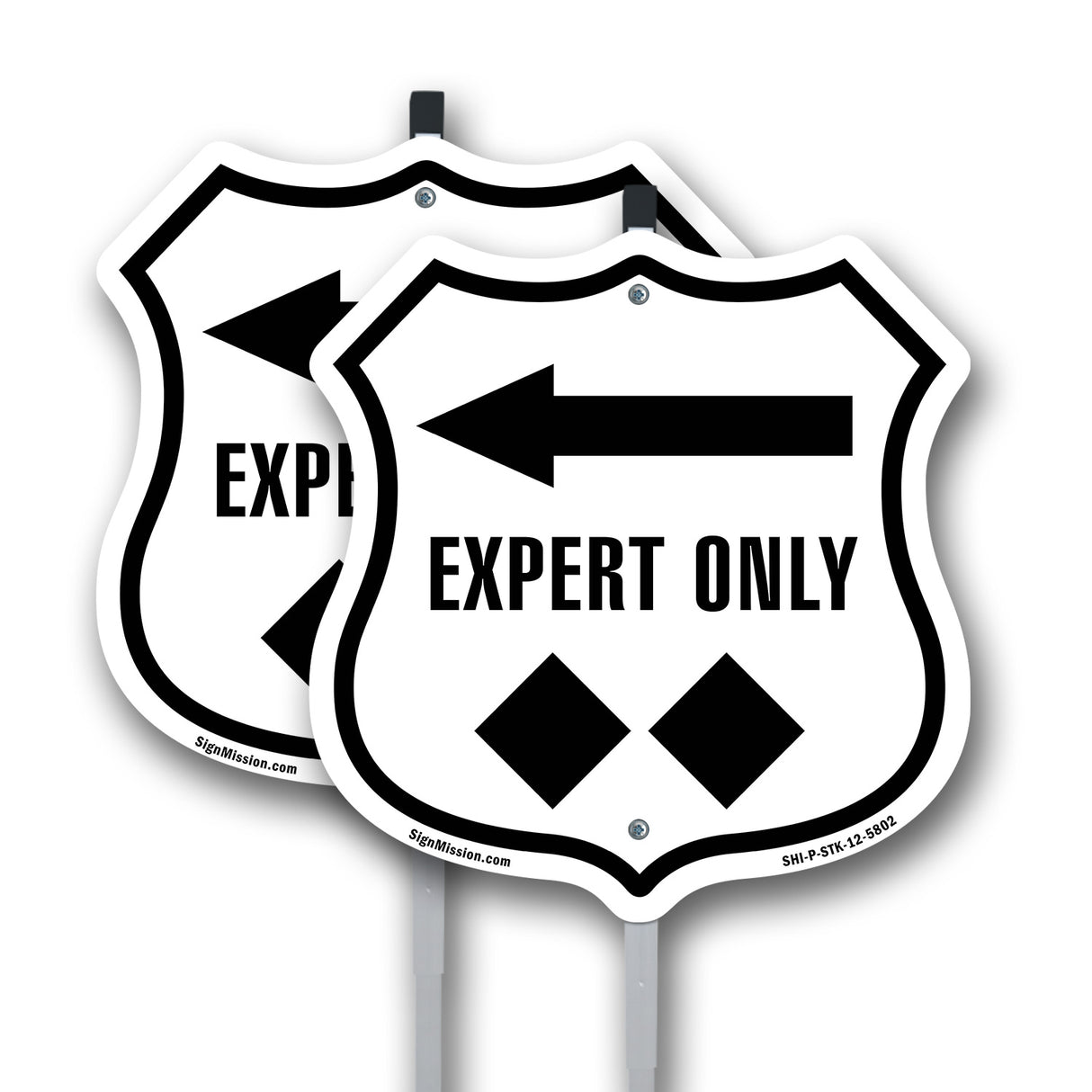 Expert Only Trail Ski Slope Left