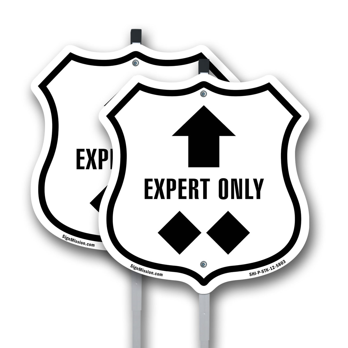 Expert Only Trail Ski Slope Up