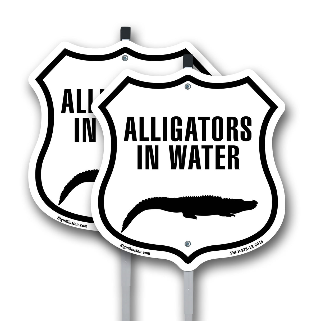 Alligators in water