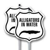 Alligators in water
