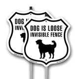 Dog Is Loose Invisible Fence