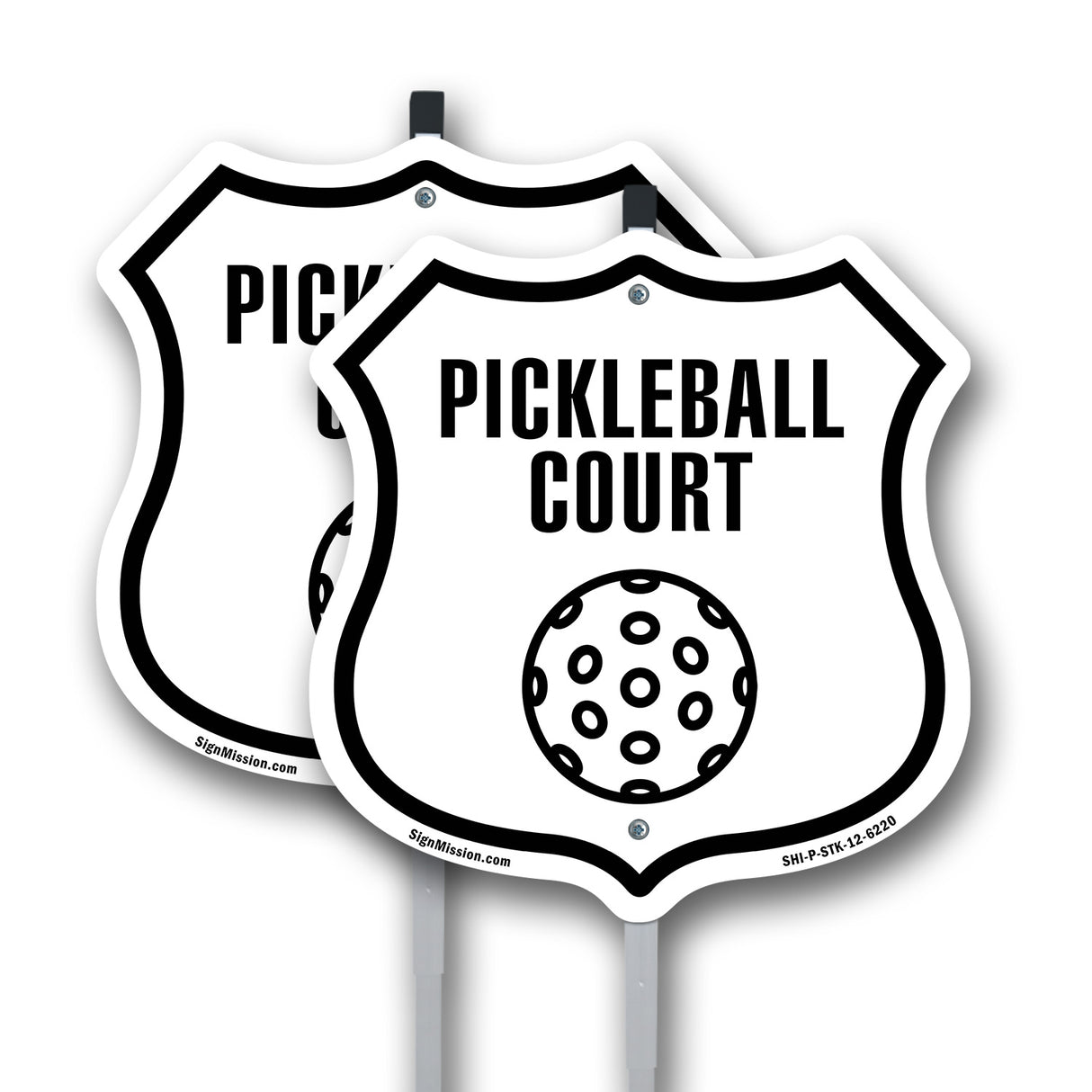 Pickleball Court