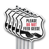 Please Do Not Feed The Geese