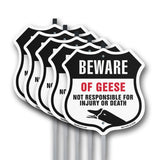 Beware Of Geese Not Responsible For Injury Or Death