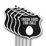Fresh Eggs For Sale