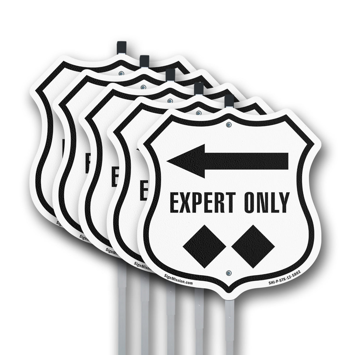 Expert Only Trail Ski Slope Left