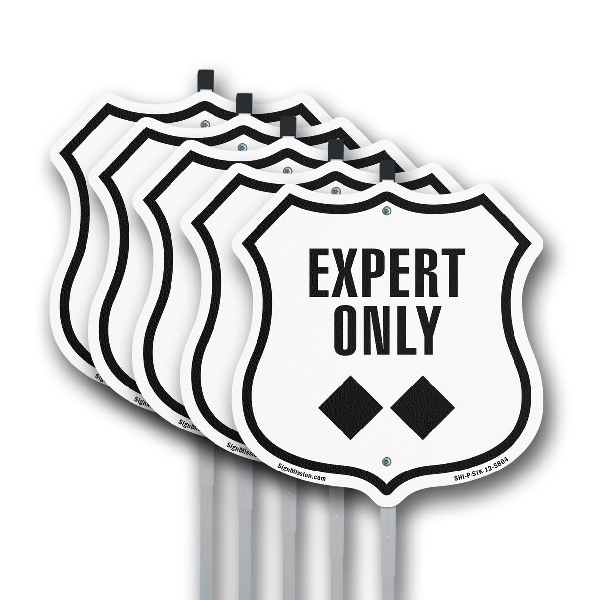 Expert Only Trail Ski Slope