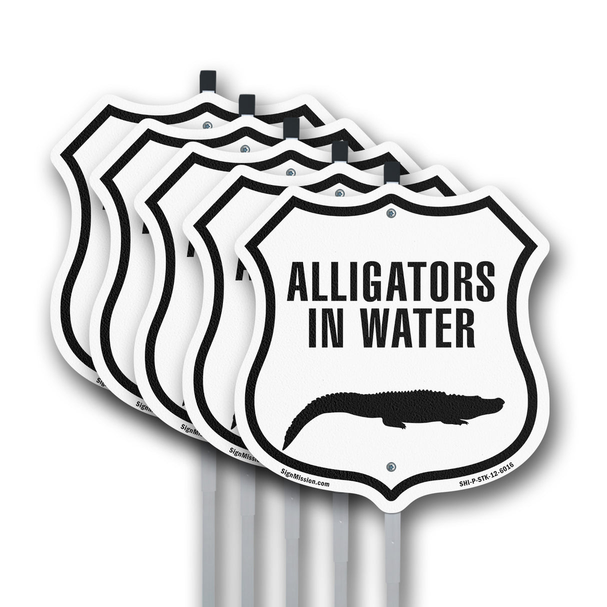 Alligators in water