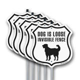 Dog Is Loose Invisible Fence