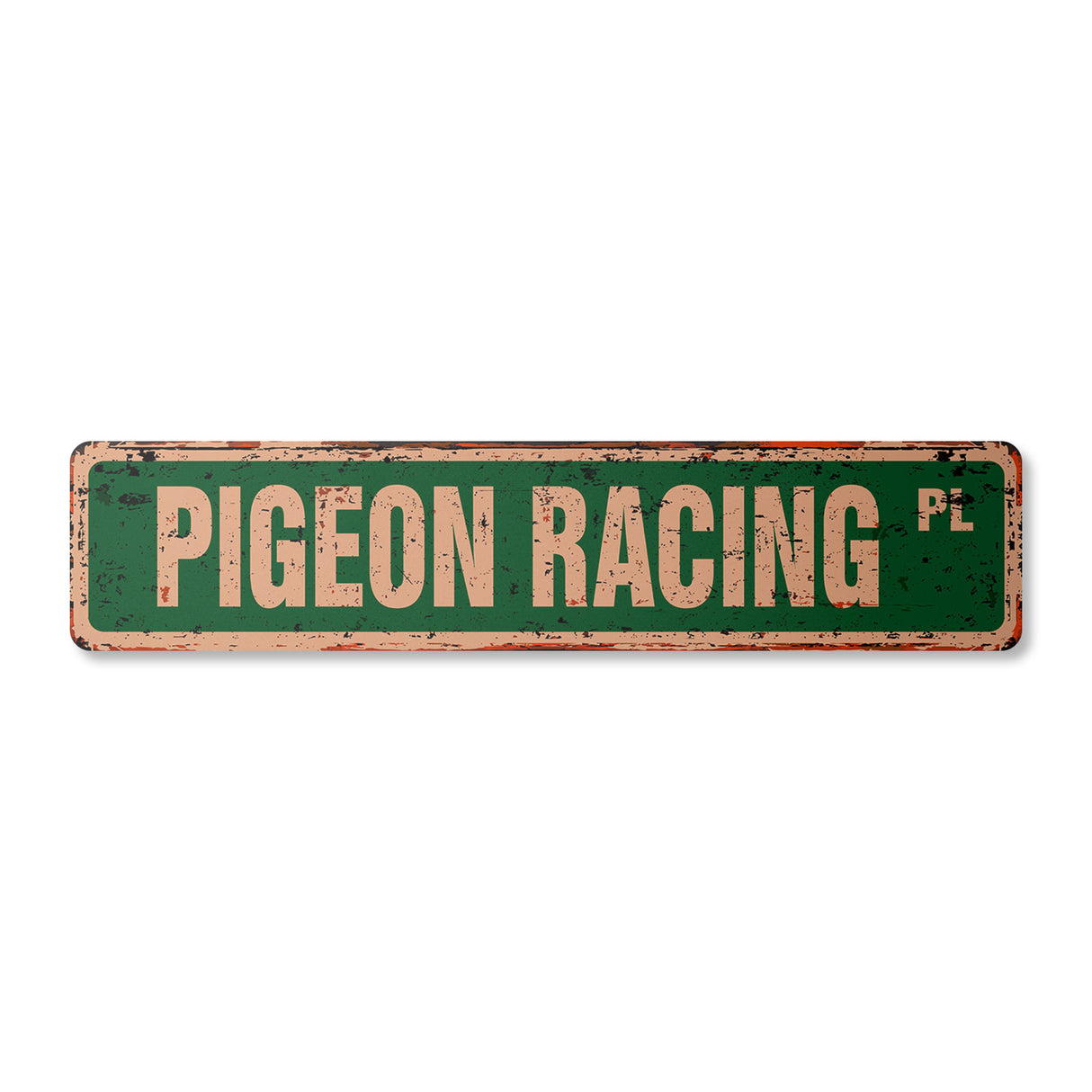 PIGEON RACING