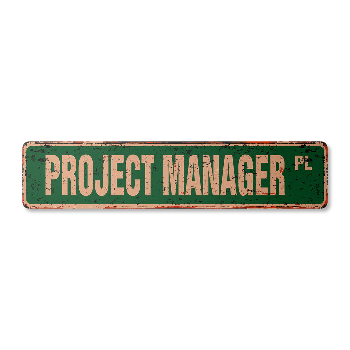 PROJECT MANAGER