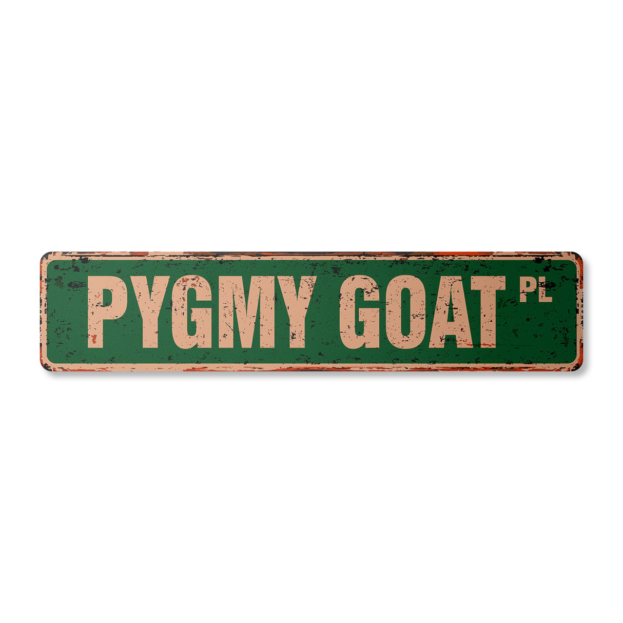 PYGMY GOAT