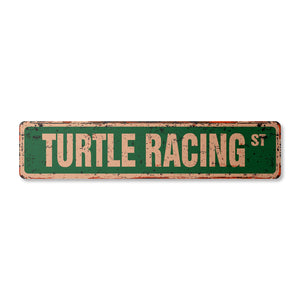 TURTLE RACING