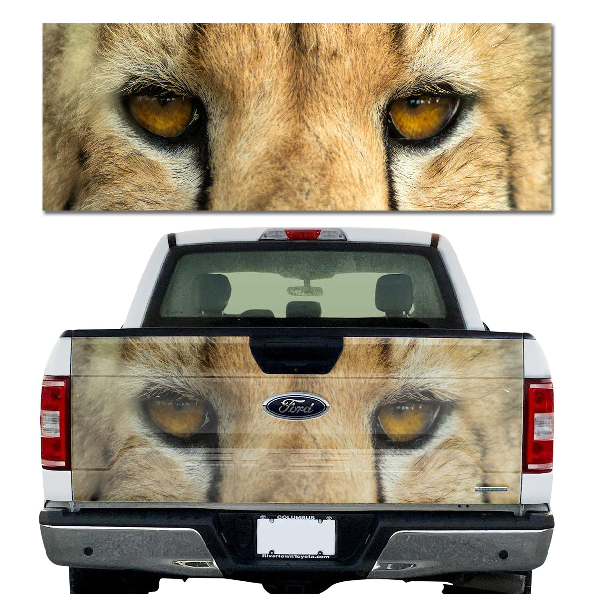 Cheetah Eyes