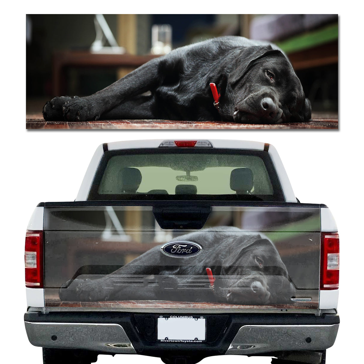 Dog Tired